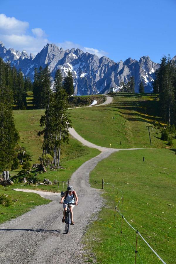 Pension Edelweiss Top21 Гозау Екстер'єр фото