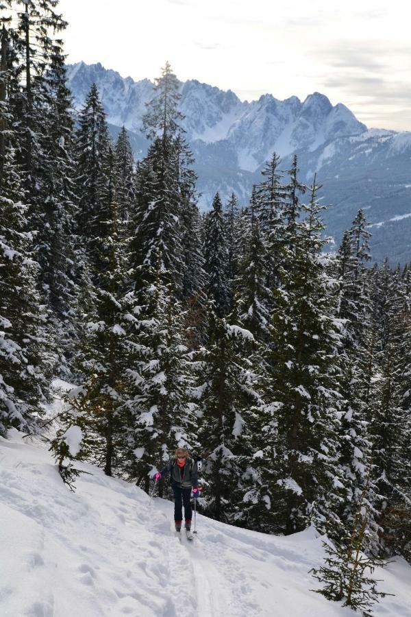 Pension Edelweiss Top21 Гозау Екстер'єр фото