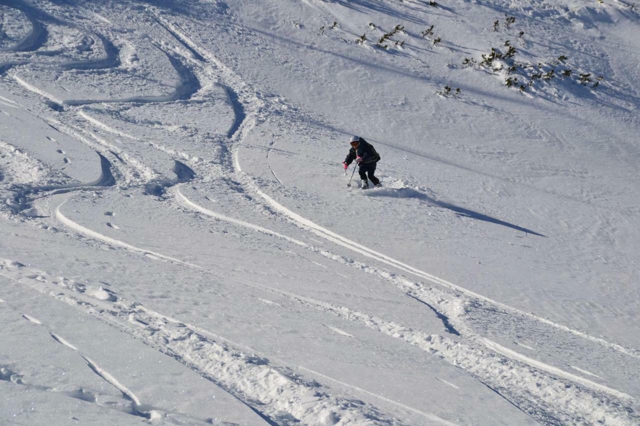 Pension Edelweiss Top21 Гозау Екстер'єр фото